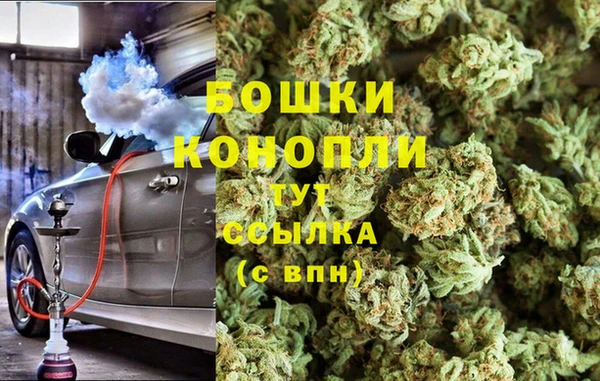 дурь Богданович