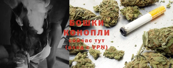 хмурый Богородицк