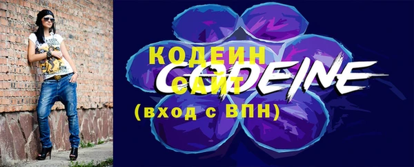 хмурый Богородицк