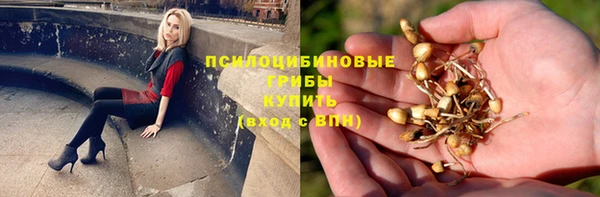 не бодяженный Богородск